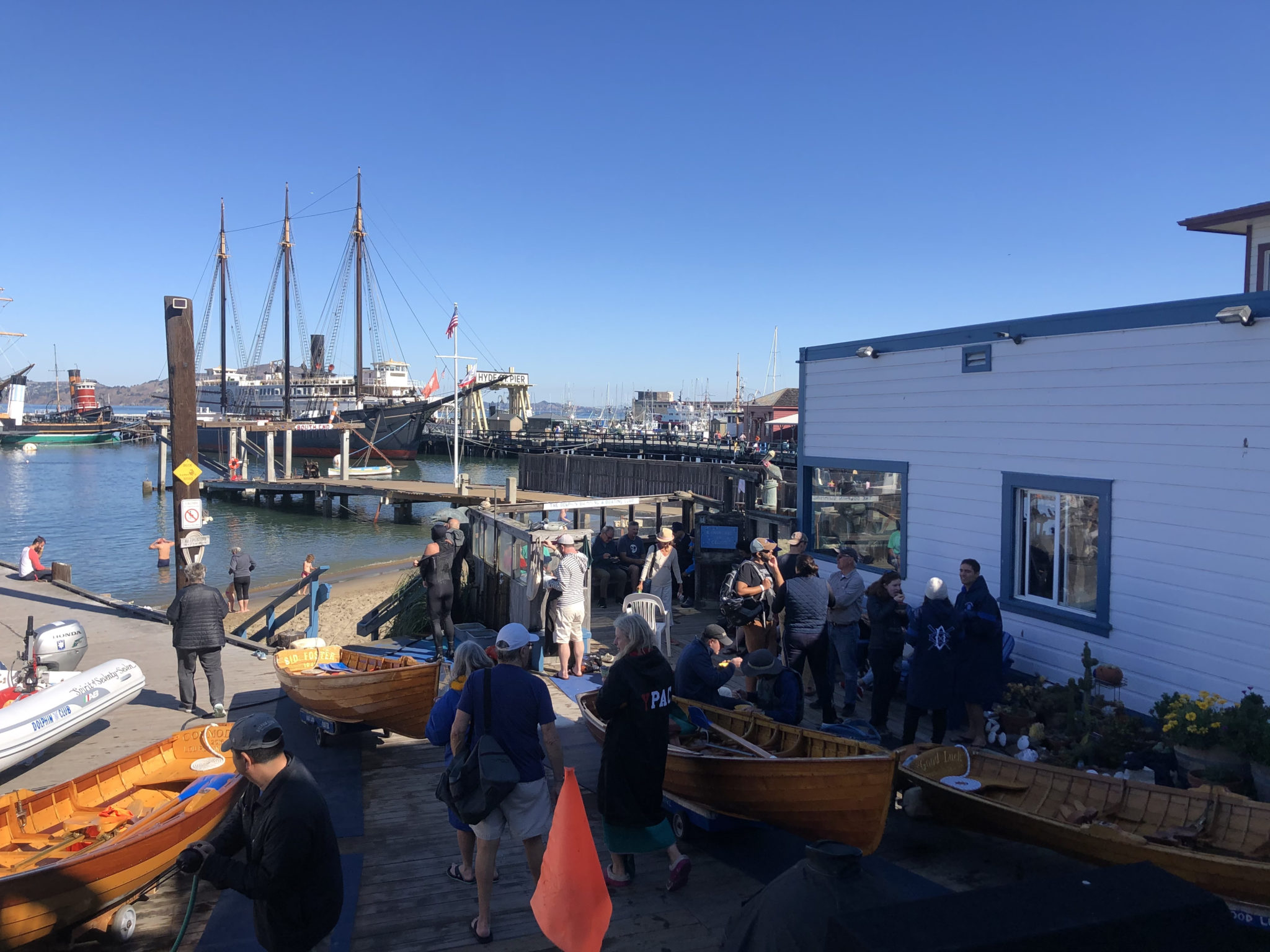 Dolphin Swimming and Boating Club